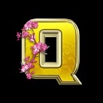 Q simbolo in Divine Stars slot