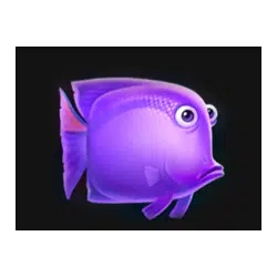 Pesce simbolo in Pearl Ocean: Hold and Win slot