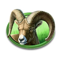 Antilope simbolo in Buffalo Bucks slot