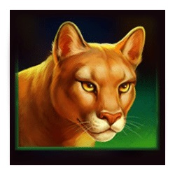 Lince simbolo in Buffalo Power 2: Hold and Win slot