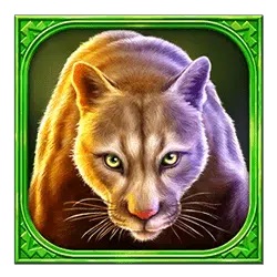 Lince simbolo in Buffalo Hold And Win slot