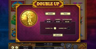 Double Up: Il rischio