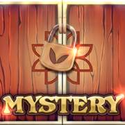 12 Coins Grand Platinum Edition: Mistero