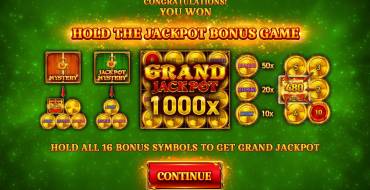 16 Coins: Grand Gold Edition: Giochi bonus