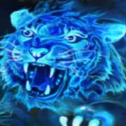 9 Tigers: Tigre blu