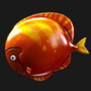 A Big Catch - HOLD & WIN: Pesce arancione