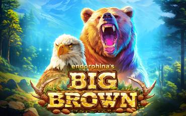 Slot Big Brown