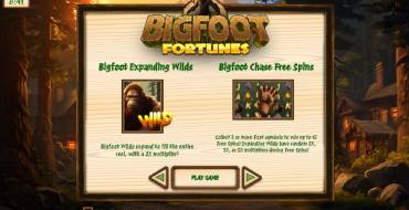 Bigfoot Fortunes: Interfaccia