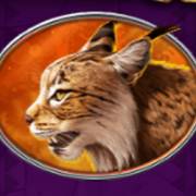 Bison Bonanza: Lince