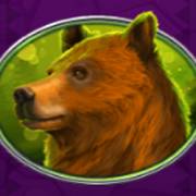 Bison Bonanza: Orso