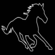 Black Horse: Cavallo