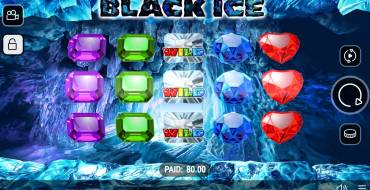 Black Ice: Interfaccia