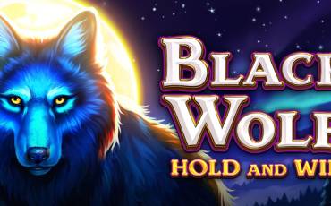 Slot Black Wolf