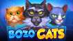 Bozo Cats (Playson)