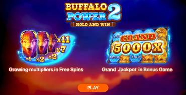 Buffalo Power 2: Hold and Win: Caratteristiche uniche