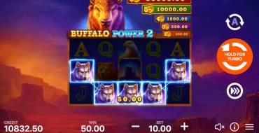 Buffalo Power 2: Hold and Win: Vincite