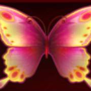 Butterfly Lovers: Giri gratis