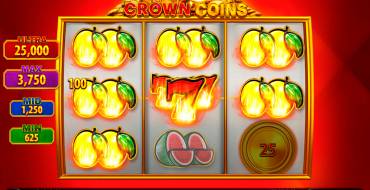 Crown Coins: Interfaccia