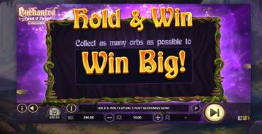 Enchanted: Forest of Fortune Hold&Win: Giochi bonus