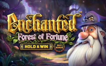 Slot Enchanted: Forest of Fortune Hold&Win