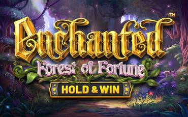 Slot Enchanted: Forest of Fortune Hold&Win