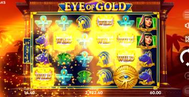 Eye of Gold: Interfaccia