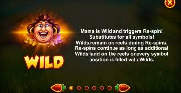 Fat Mama's Wheel: Giochi bonus