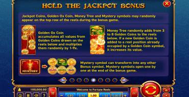 Fortune Reels: Giochi bonus