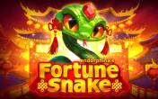 Slot Fortune Snake