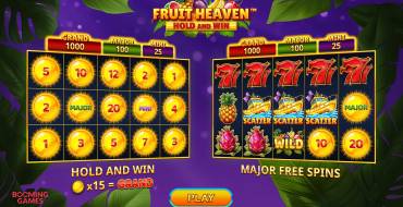 Fruit Heaven Hold And Win: Caratteristiche uniche