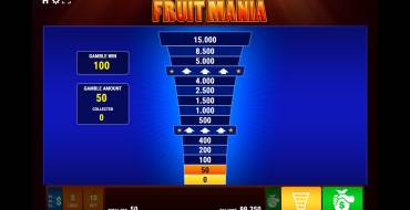 Fruit Mania: Gioco del rischio