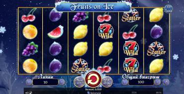 Fruits on Ice: Interfaccia