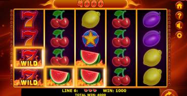 Hot Fruits 40: Vincite