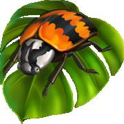 Into The Jungle Bonus Buy: Coccinella