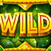 Jungle Fortune: Selvaggio