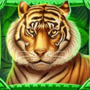 Jungle Fortune: Tigre