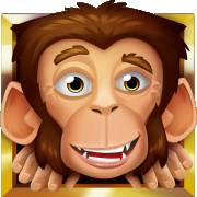 Loco the Monkey: Selvaggio