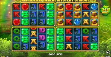 Luck O` The Irish: Mystery Ways Fortune Play: Giochi bonus