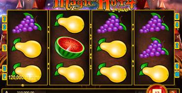 Magic Hot 4 Deluxe: Vincite