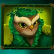 Owls: Gufo verde