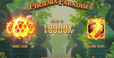 Phoenix Paradise: Interfaccia