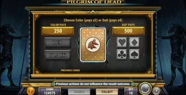 Pilgrim of Dead: Gioco del rischio