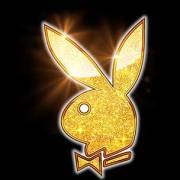 Playboy Fortunes King Millions: Bonus