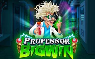 Slot Professor Big Win