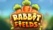 Rabbit Fields