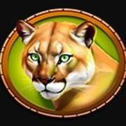 Raging Riches: Tigre