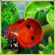 Rainbow Luck: Coccinella