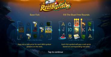 Reel Big Fish: Caratteristiche uniche