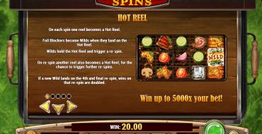 Sizzling Spins: Giochi bonus