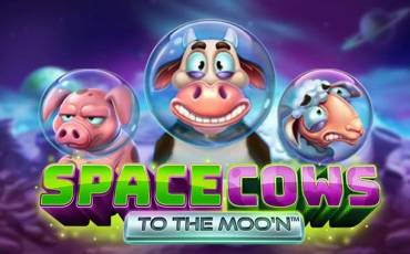 Slot Space Cows to the Moo’n